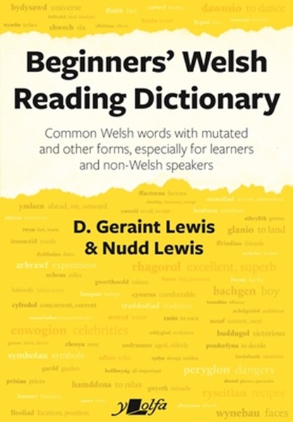 Beginners' Welsh Reading Dictionary, D. Geraint Lewis - Paperback - 9781800993334