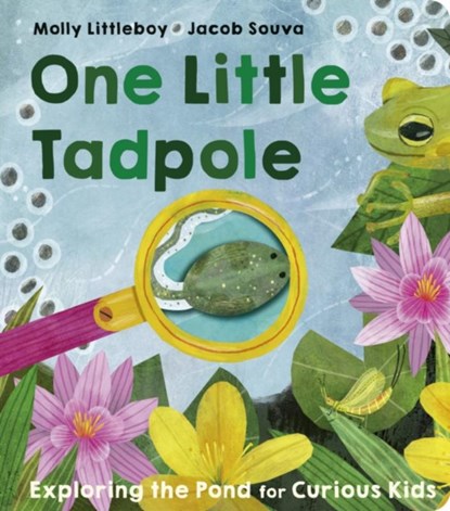 One Little Tadpole, Molly Littleboy - Gebonden - 9781801044349