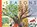Seasons, Hannah Pang - Paperback - 9781801044554