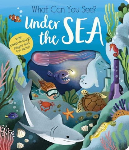 What Can You See? Under the Sea, Molly Littleboy - Gebonden - 9781801045551