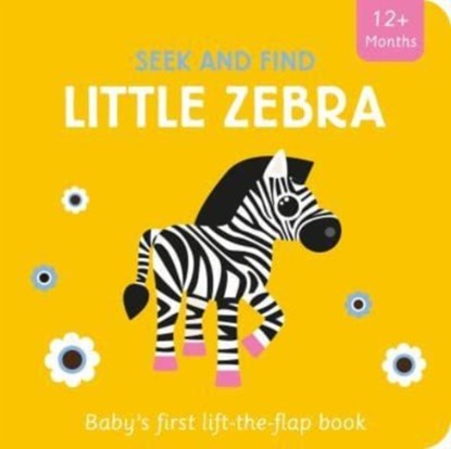 Little Zebra, Amber Lily - Overig - 9781801050739