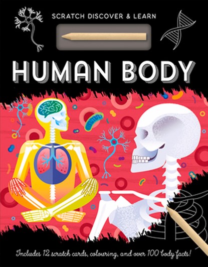 HUMAN BODY, Amanda Shufflebotham - Gebonden - 9781801051347