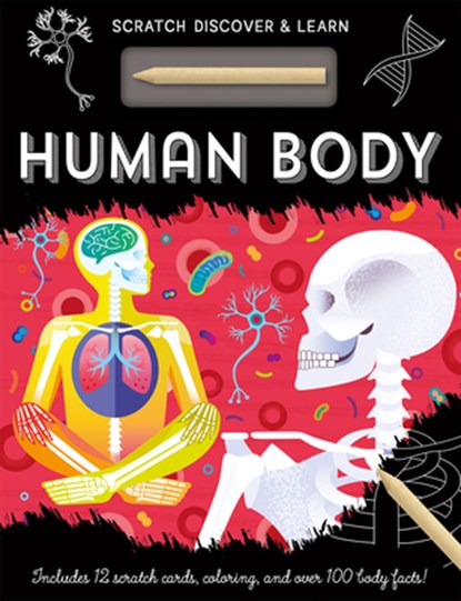 HUMAN BODY, Susan Mayes - Gebonden - 9781801051347