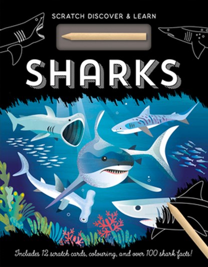 Sharks, Amanda Shufflebotham - Gebonden - 9781801051354