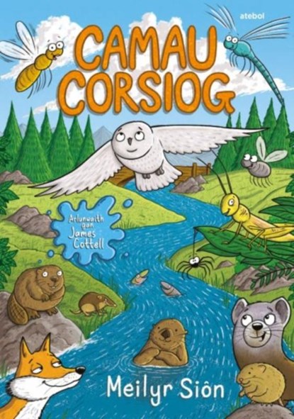 Camau Corsiog, Meilyr Sion - Paperback - 9781801062619