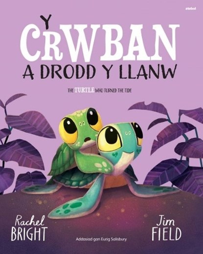 Y Crwban a Drodd y Llanw / The Turtle Who Turned The Tide, Rachel Bright - Paperback - 9781801065863
