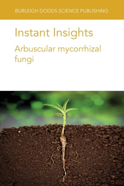 Instant Insights, Michael Bitterlich - Paperback - 9781801460651