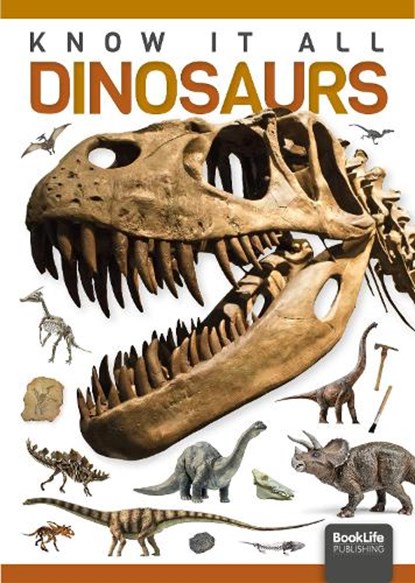 Dinosaurs, Louise Nelson - Gebonden - 9781801550420
