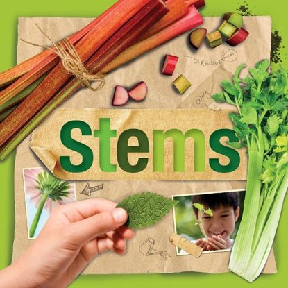 Stems, Steffi Cavell-Clarke - Paperback - 9781801559300