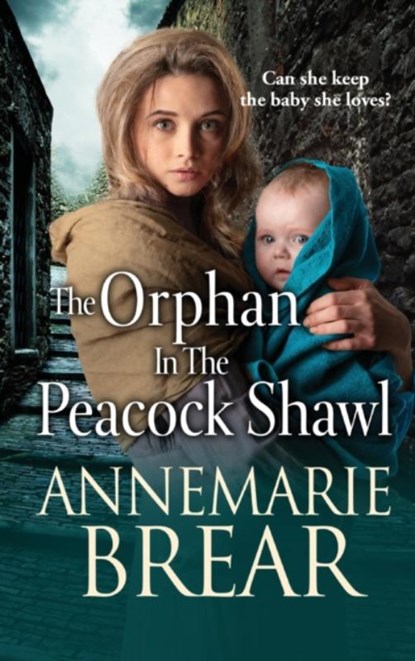 The Orphan in the Peacock Shawl, AnneMarie Brear - Gebonden - 9781801627528