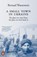 A Small Town in Ukraine, Bernard Wasserstein - Paperback - 9781802061406