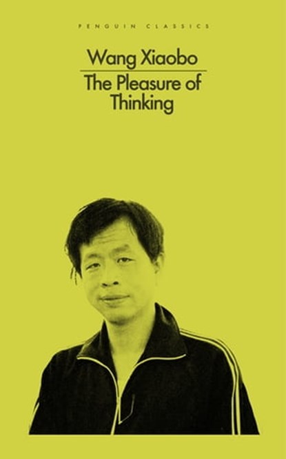 Pleasure of Thinking, Wang Xiaobo - Ebook - 9781802062441