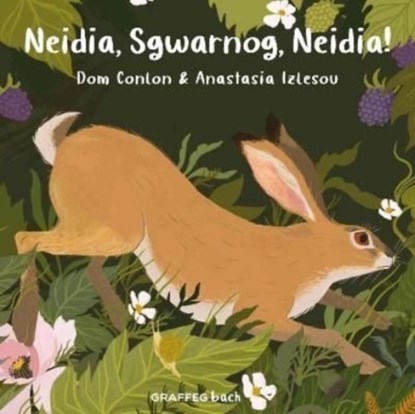 Neidia, Sgwarnog, Neidia!, Dom Conlon - Paperback - 9781802580549
