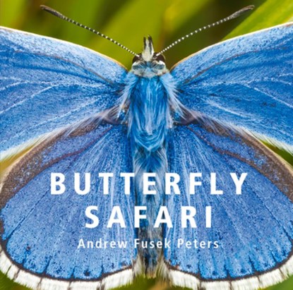 Butterfly Safari, Andrew Fusek Peters - Gebonden - 9781802583700