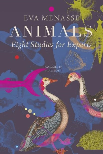 Animals – Eight Studies for Experts, Eva Menasse ; Simon Pare - Gebonden - 9781803092621