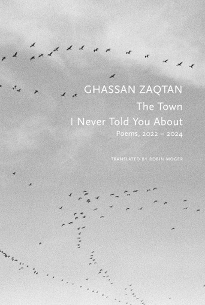 The Town I Never Told You About, Ghassan Zaqtan - Paperback - 9781803096063