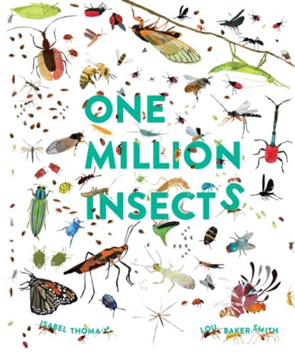 One Million Insects, Isabel Thomas - Paperback - 9781803380087