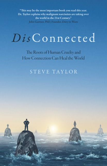 DisConnected, Steve Taylor - Paperback - 9781803410302