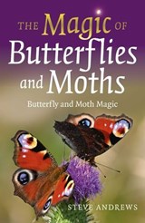 The Magic of Butterflies and Moths - Steve Andrews - 9781803410531