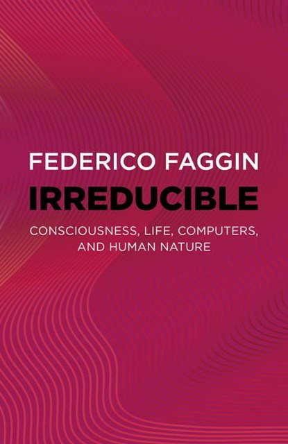 Irreducible, Federico Faggin - Paperback - 9781803415093