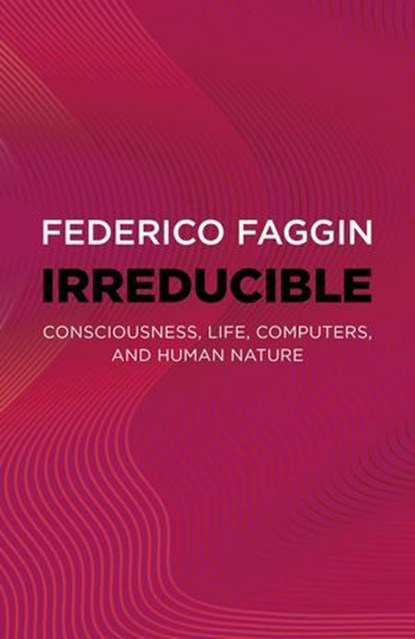 Irreducible, Federico Faggin - Ebook - 9781803415109