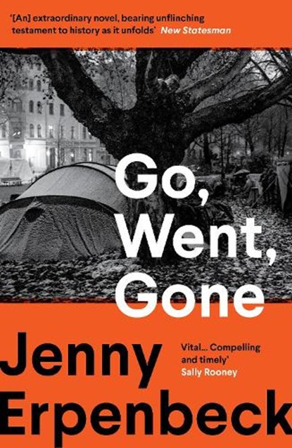 Go, Went, Gone, Jenny Erpenbeck - Paperback - 9781803512532