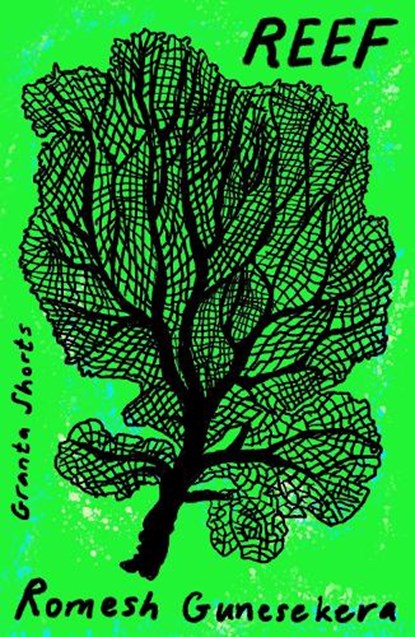 Reef, Romesh Gunesekera - Paperback - 9781803513584