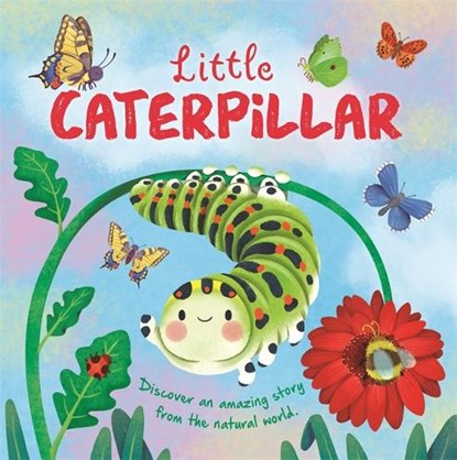 Little Caterpillar, Autumn Publishing - Gebonden - 9781803687421