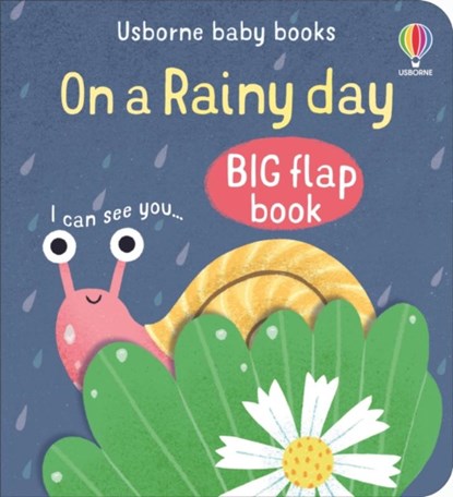 On a Rainy Day, Mary Cartwright - Gebonden - 9781803704708