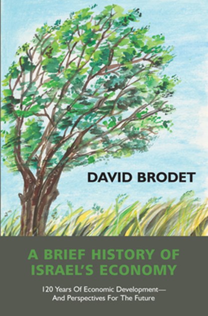 A Brief History of Israel’s Economy, David Brodet - Gebonden - 9781803710808