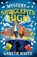 Mystery at Shinglepits High, Gareth White - Paperback - 9781803783406