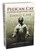 Pelican Cay & Other Disquieting Tales, David Case - Paperback - 9781803942506