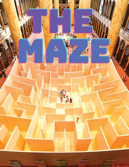 Maze Puzzles Book, Exotic Publisher - Paperback - 9781803964270