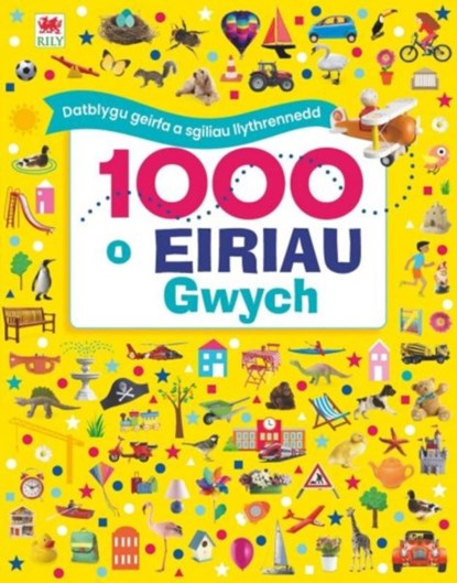 1000 o Eiriau Gwych, Dawn Sirett - Gebonden - 9781804162545