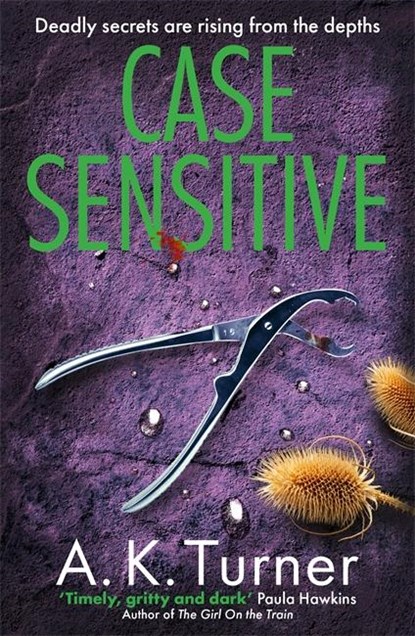 Case Sensitive, A. K. Turner - Paperback - 9781804180594