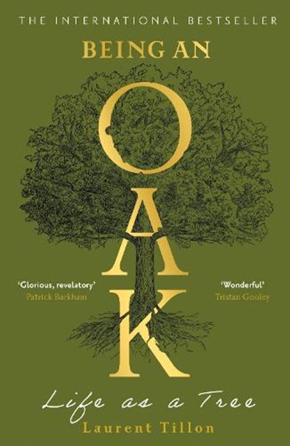 Being an Oak, Laurent Tillon - Paperback - 9781804183410