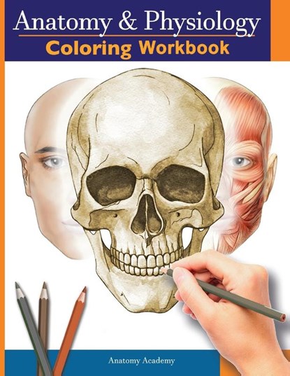 Anatomy and Physiology Coloring Workbook, Anatomy Academy - Paperback - 9781804211984