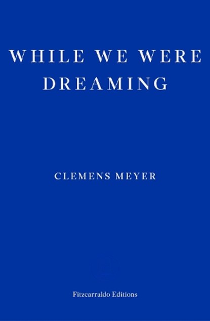 While We Were Dreaming, Clemens Meyer - Paperback - 9781804270288