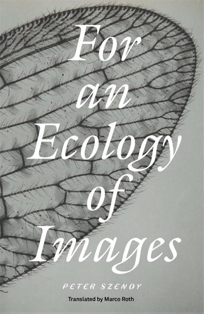For an Ecology of Images, Peter Szendy - Paperback - 9781804294314
