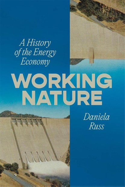 Working Nature, Daniela Russ - Paperback - 9781804298978