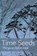 Time Seeds, Margaret Elphinstone - Paperback - 9781804324059