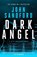 Dark Angel, John Sandford - Paperback - 9781804362495