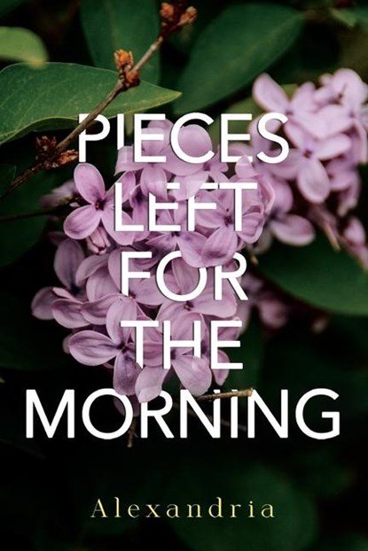 Pieces Left for the Morning, Alexandria - Paperback - 9781804397022
