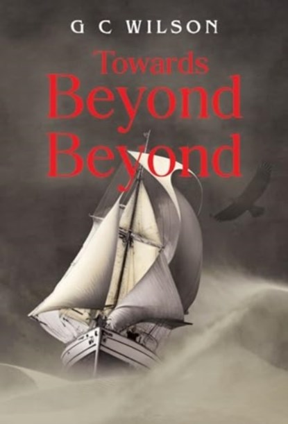 Towards Beyond Beyond, WILSON,  G C - Paperback - 9781804397718