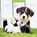 Adorable Dogs 2024 Square Wall Calendar, Robin Red - Paperback - 9781804421116