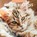 Cats & Kittens 2025 Square Wall Calendar, Red Robin - Paperback - 9781804423769