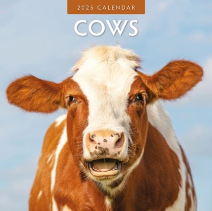 Cows 2025 Square Wall Calendar, Red Robin - Paperback - 9781804423790