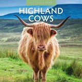 Highland Cows 2025 Square Wall Calendar - Red Robin - 9781804423943