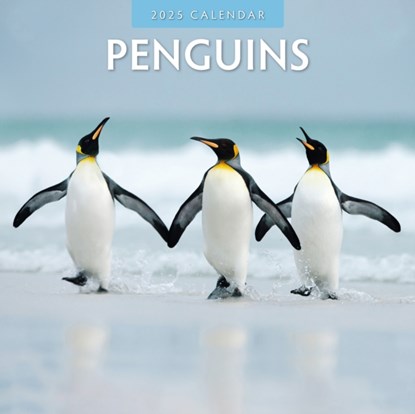 Penguins 2025 Square Wall Calendar, Red Robin - Paperback - 9781804424032