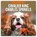 Cavalier King Charles Spaniel 2025 Square Wall Calendar, Red Robin - Paperback - 9781804424445